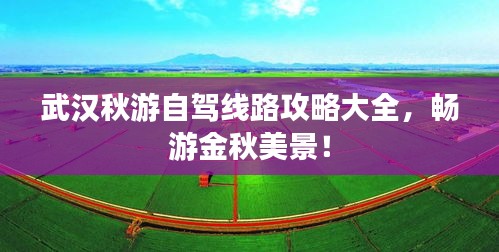 武汉秋游自驾线路攻略大全，畅游金秋美景！