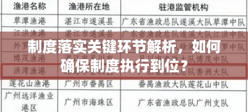制度落实关键环节解析，如何确保制度执行到位？