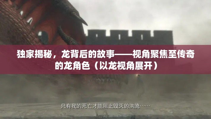 独家揭秘，龙背后的故事——视角聚焦至传奇的龙角色（以龙视角展开）