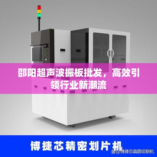 邵阳超声波振板批发，高效引领行业新潮流