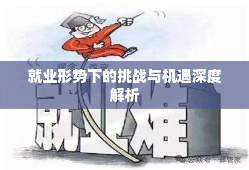 就业形势下的挑战与机遇深度解析