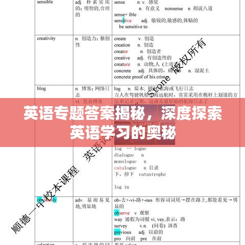 英语专题答案揭秘，深度探索英语学习的奥秘