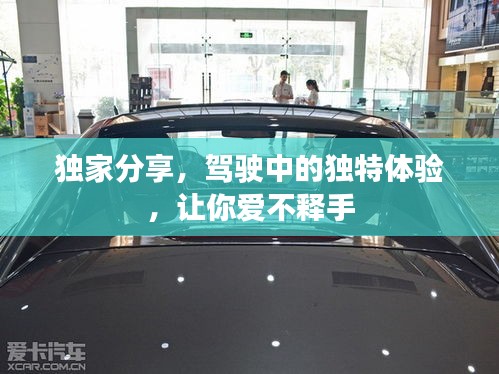 独家分享，驾驶中的独特体验，让你爱不释手