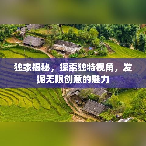 独家揭秘，探索独特视角，发掘无限创意的魅力