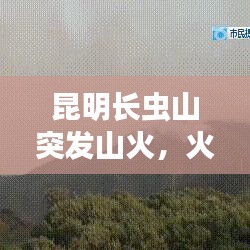 昆明长虫山突发山火，火线背后的挑战与故事揭秘