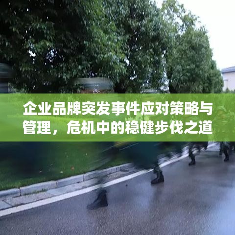 企业品牌突发事件应对策略与管理，危机中的稳健步伐之道