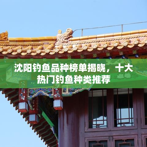沈阳钓鱼品种榜单揭晓，十大热门钓鱼种类推荐
