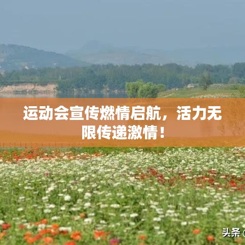 运动会宣传燃情启航，活力无限传递激情！