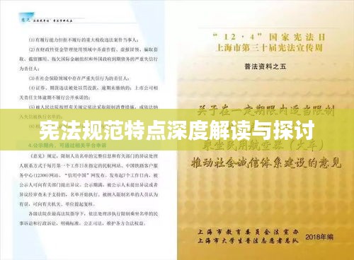 宪法规范特点深度解读与探讨