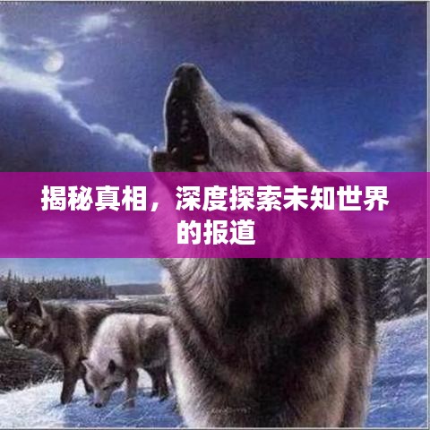 揭秘真相，深度探索未知世界的报道