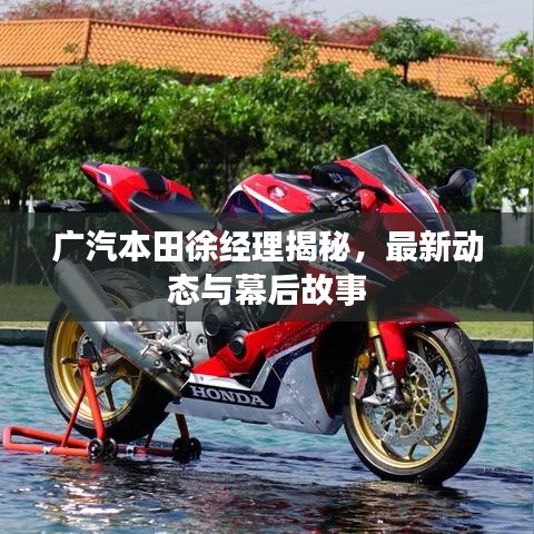 广汽本田徐经理揭秘，最新动态与幕后故事