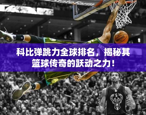 科比弹跳力全球排名，揭秘其篮球传奇的跃动之力！