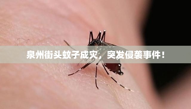 张睢阳齿 第2页