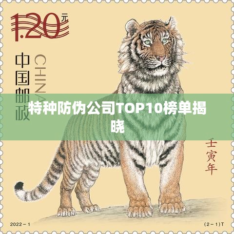 特种防伪公司TOP10榜单揭晓