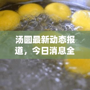 汤圆最新动态报道，今日消息全解析