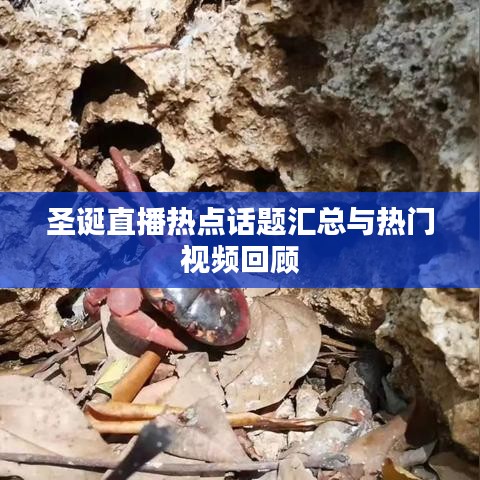 圣诞直播热点话题汇总与热门视频回顾