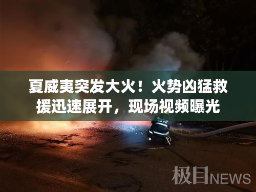 夏威夷突发大火！火势凶猛救援迅速展开，现场视频曝光