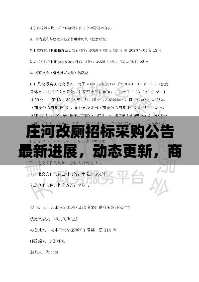 庄河改厕招标采购公告最新进展，动态更新，商机无限