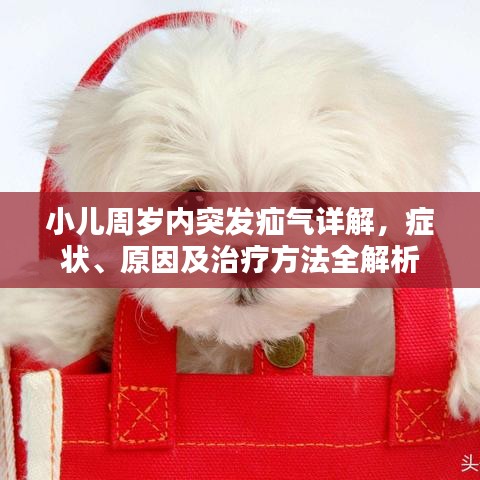 小儿周岁内突发疝气详解，症状、原因及治疗方法全解析