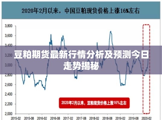 豆粕期货最新行情分析及预测今日走势揭秘