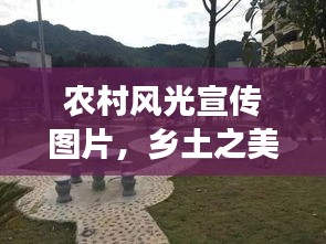 农村风光宣传图片，乡土之美传递正能量，展现乡村新风貌