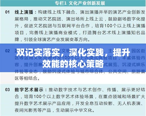 双记实落实，深化实践，提升效能的核心策略