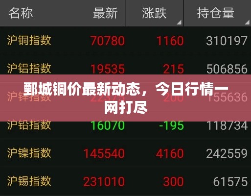 鄄城铜价最新动态，今日行情一网打尽