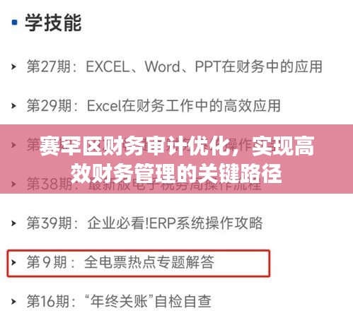 赛罕区财务审计优化，实现高效财务管理的关键路径