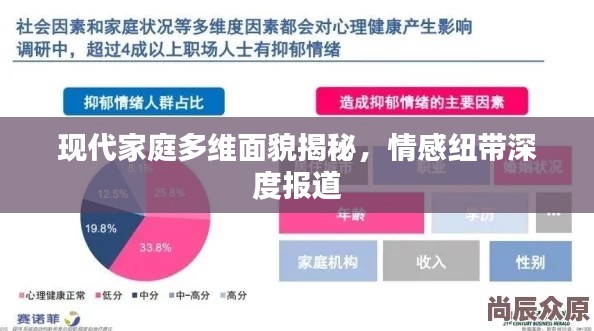 现代家庭多维面貌揭秘，情感纽带深度报道