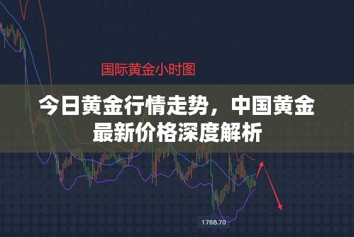 今日黄金行情走势，中国黄金最新价格深度解析