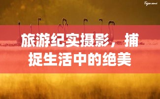 旅游纪实摄影，捕捉生活中的绝美瞬间，留下难忘的回忆篇章