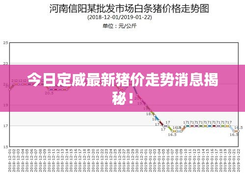 今日定威最新猪价走势消息揭秘！