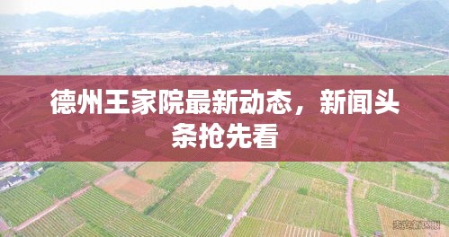 德州王家院最新动态，新闻头条抢先看
