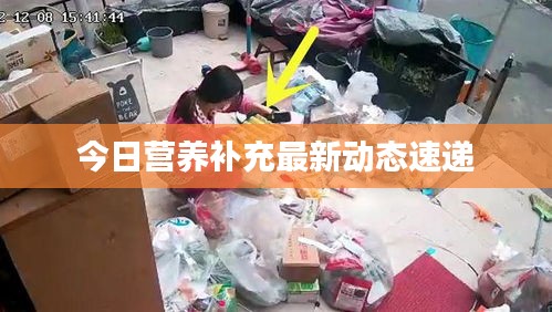 今日营养补充最新动态速递
