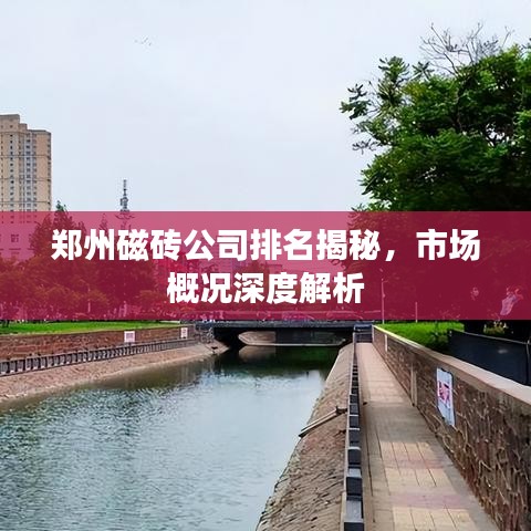 郑州磁砖公司排名揭秘，市场概况深度解析