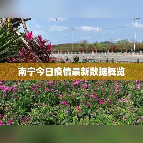 南宁今日疫情最新数据概览
