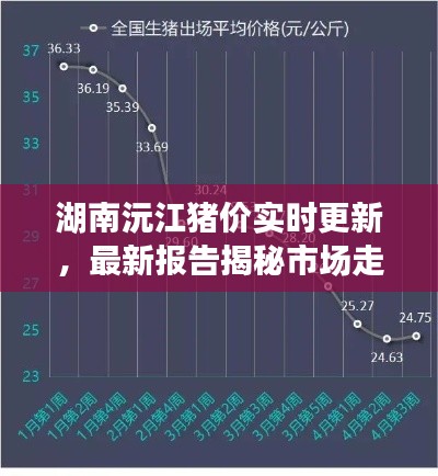 湖南沅江猪价实时更新，最新报告揭秘市场走势