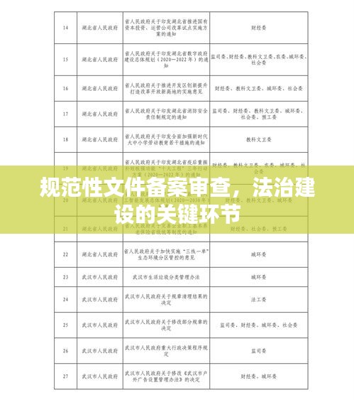规范性文件备案审查，法治建设的关键环节