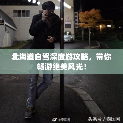 北海道自驾深度游攻略，带你畅游绝美风光！