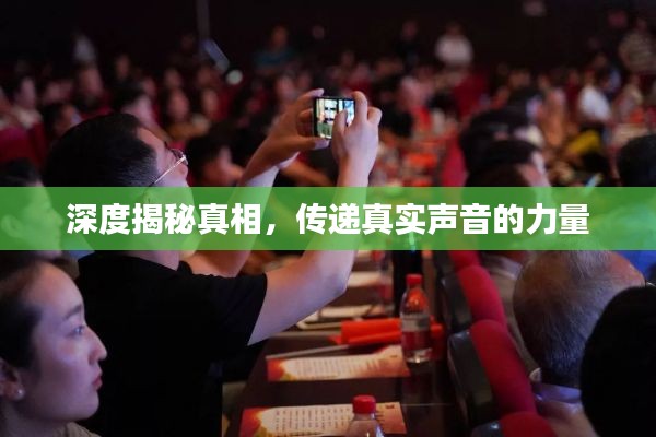 深度揭秘真相，传递真实声音的力量
