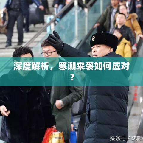 深度解析，寒潮来袭如何应对？