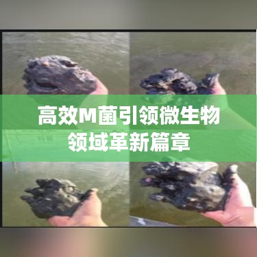 高效M菌引领微生物领域革新篇章