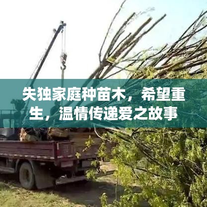 失独家庭种苗木，希望重生，温情传递爱之故事