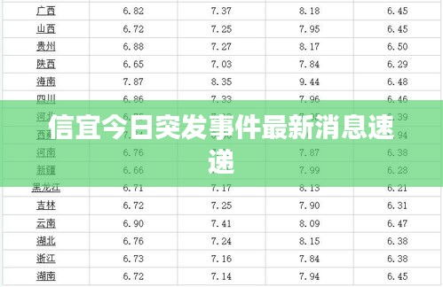 望其项背 第2页