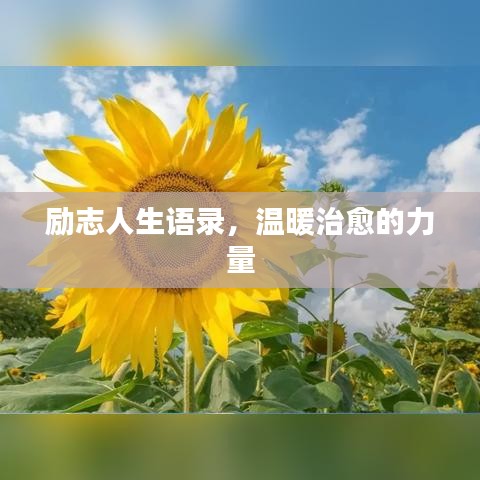 励志人生语录，温暖治愈的力量