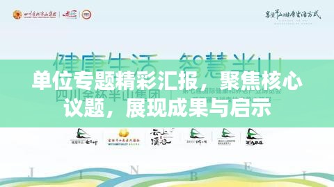 单位专题精彩汇报，聚焦核心议题，展现成果与启示