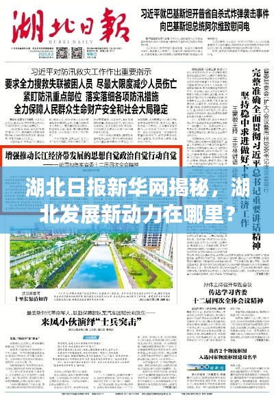 湖北日报新华网揭秘，湖北发展新动力在哪里？