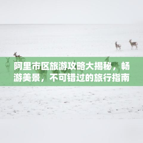 关于订购 第60页
