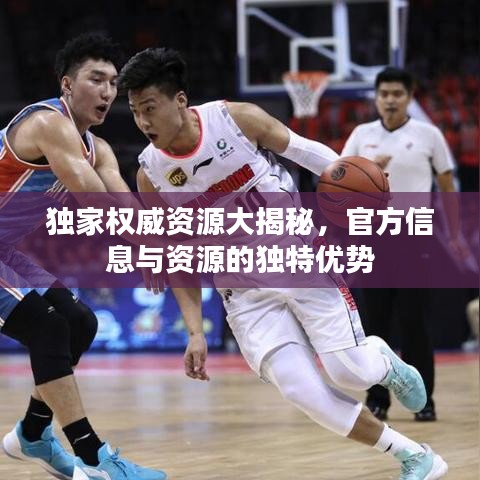 独家权威资源大揭秘，官方信息与资源的独特优势