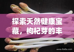 探索天然健康宝藏，枸杞芽的丰富功效与营养价值